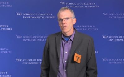 350.org’s Bill McKibben on The State of the Climate Movement
