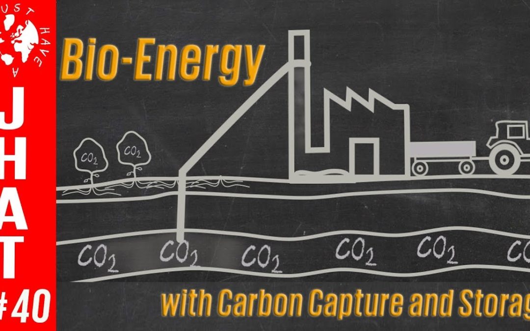 Bio-Energy with Carbon Capture and Storage (BECCS)