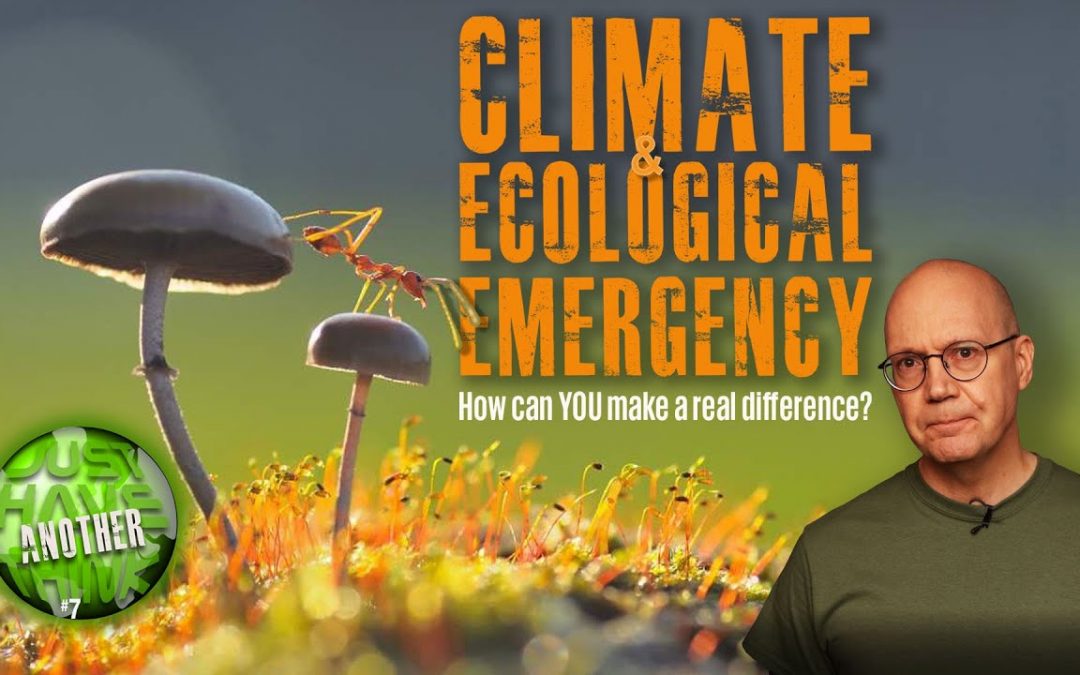 Climate and Ecological Emergency. Can you really make a difference?