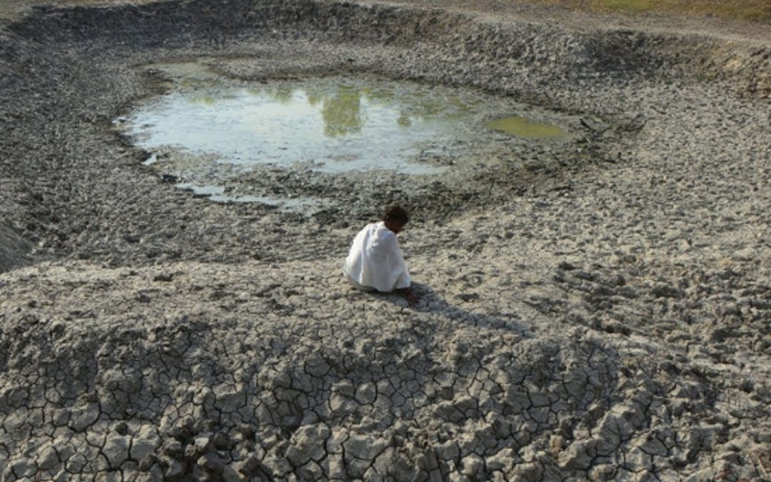 Climate Change is Devastating India With Heat Waves and Water Shortages