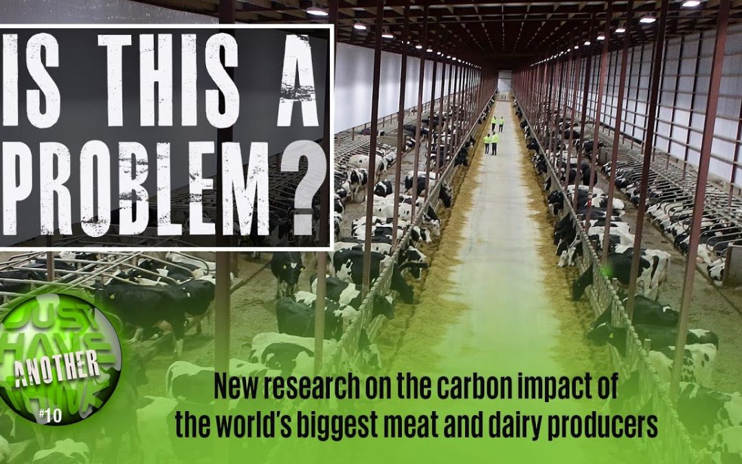 Climate impact of the world’s top meat and dairy producers