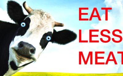 Fight Climate Change, Eat Less Meat