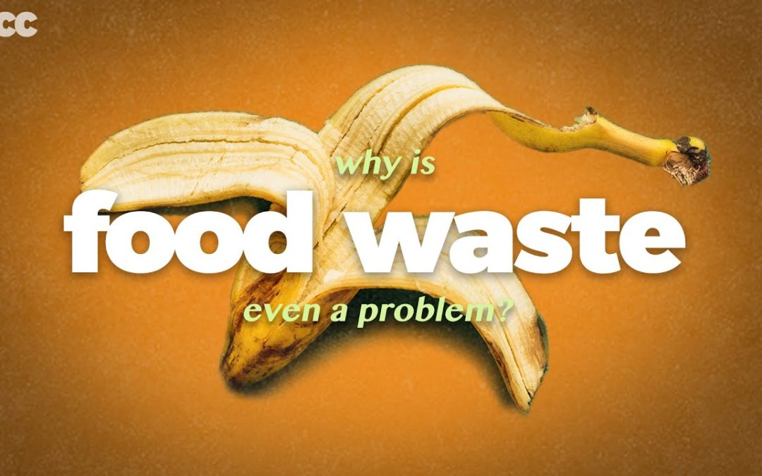 Food Waste causes Climate Change. Here’s how we stop it.