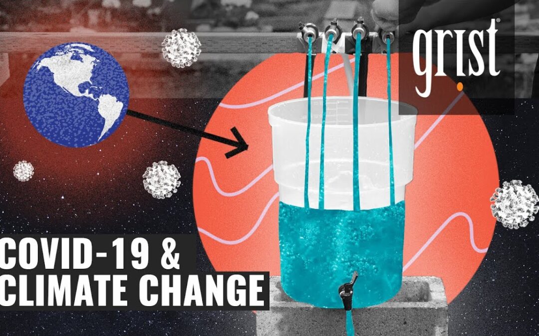 How coronavirus affects climate change (explained with a bucket)