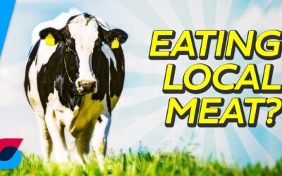 How much does local meat help the environment?