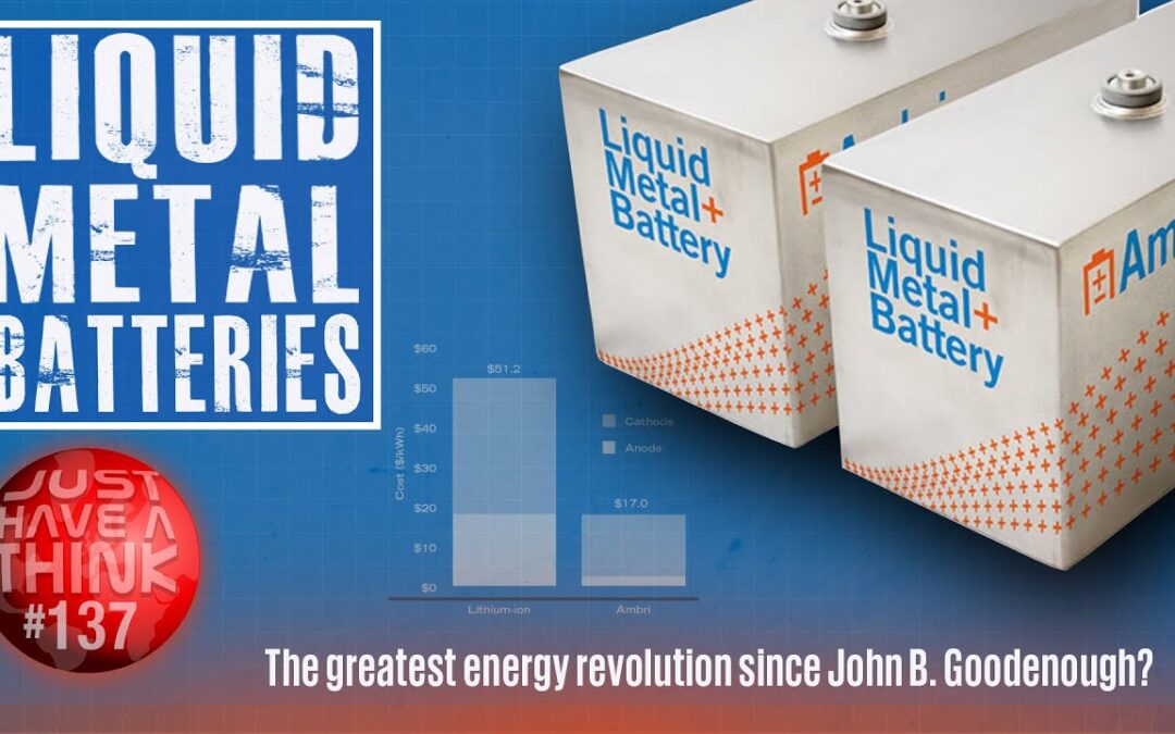 Liquid Metal Batteries. Are they an economic possibility?