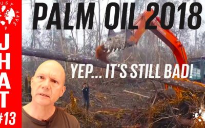 Palm Oil Plantations. Still plundering on?