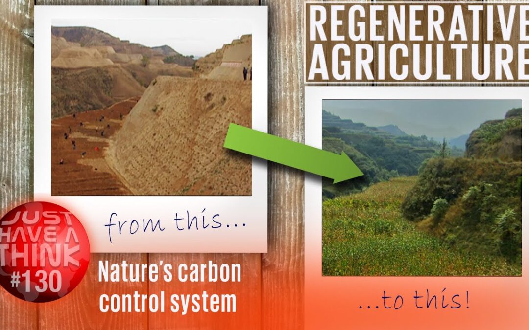 Regenerative Agriculture – The fastest way to climate safety?