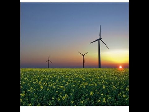 Renewable Energy Progress – Despite Resistance from the Fossil Fuel Industry