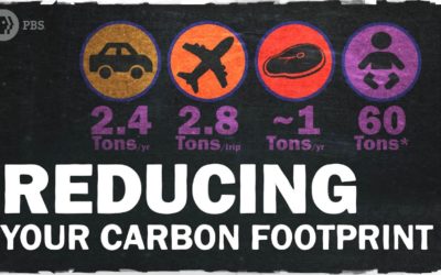 The Best Ways to Reduce Your Carbon Footprint