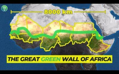 Why Africa Needs A (Green) Wall